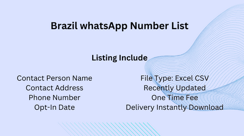 Brazil whatsApp Number List