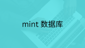 mint 数据库